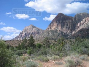 PINE CREEK CANYON - a relic forest of Ponderosa pines