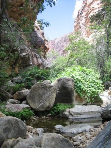 PINE CREEK CANYON - Every 30 yards is a new spectacular sight.
